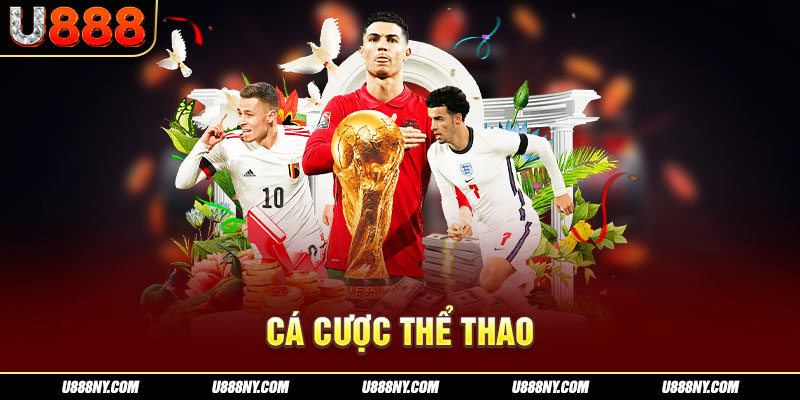 Sảnh cược thể thao cực hot